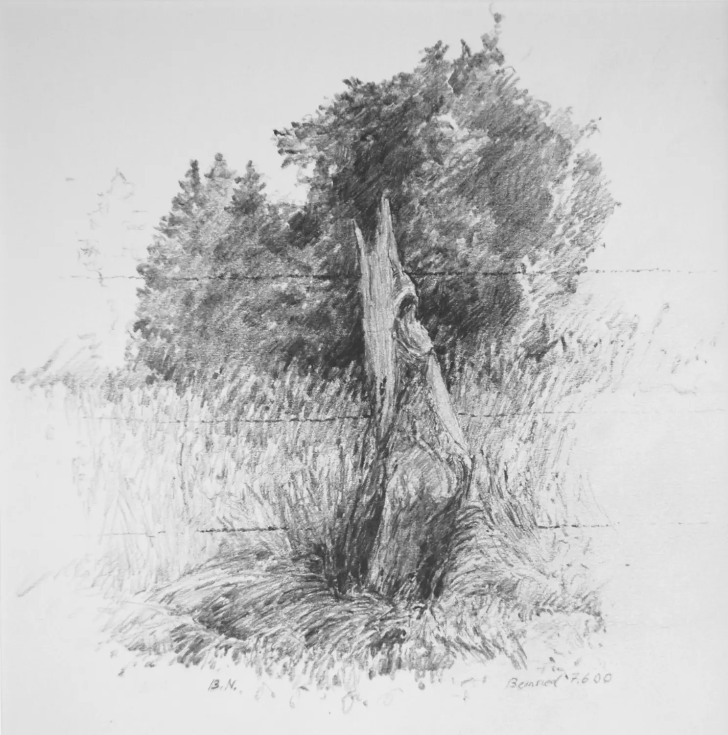 ´Weidezaun´ (Bernried)  Bleistiftzeichnung