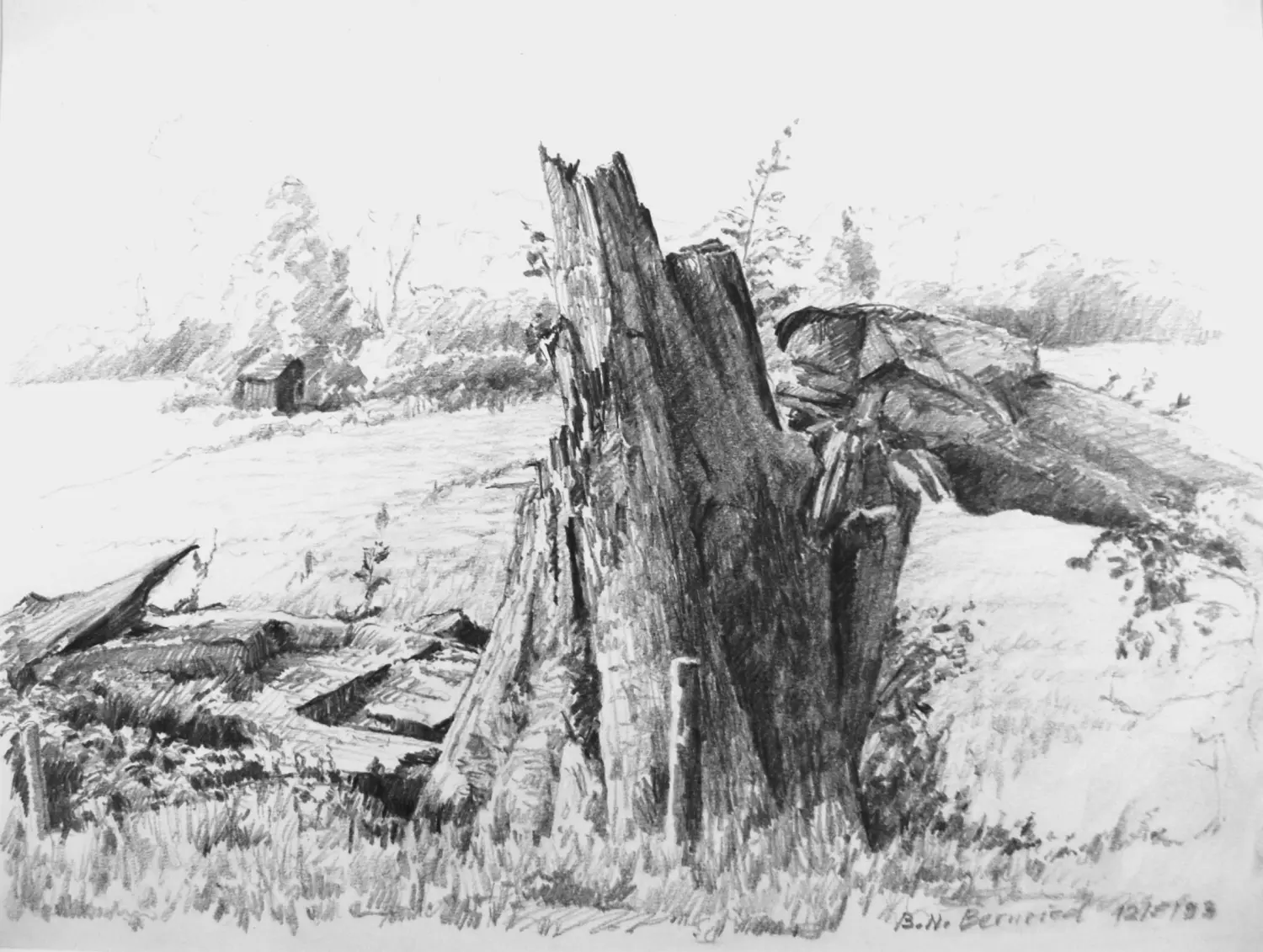 ´Windbruch´ (Bernried) Bleistiftzeichnung