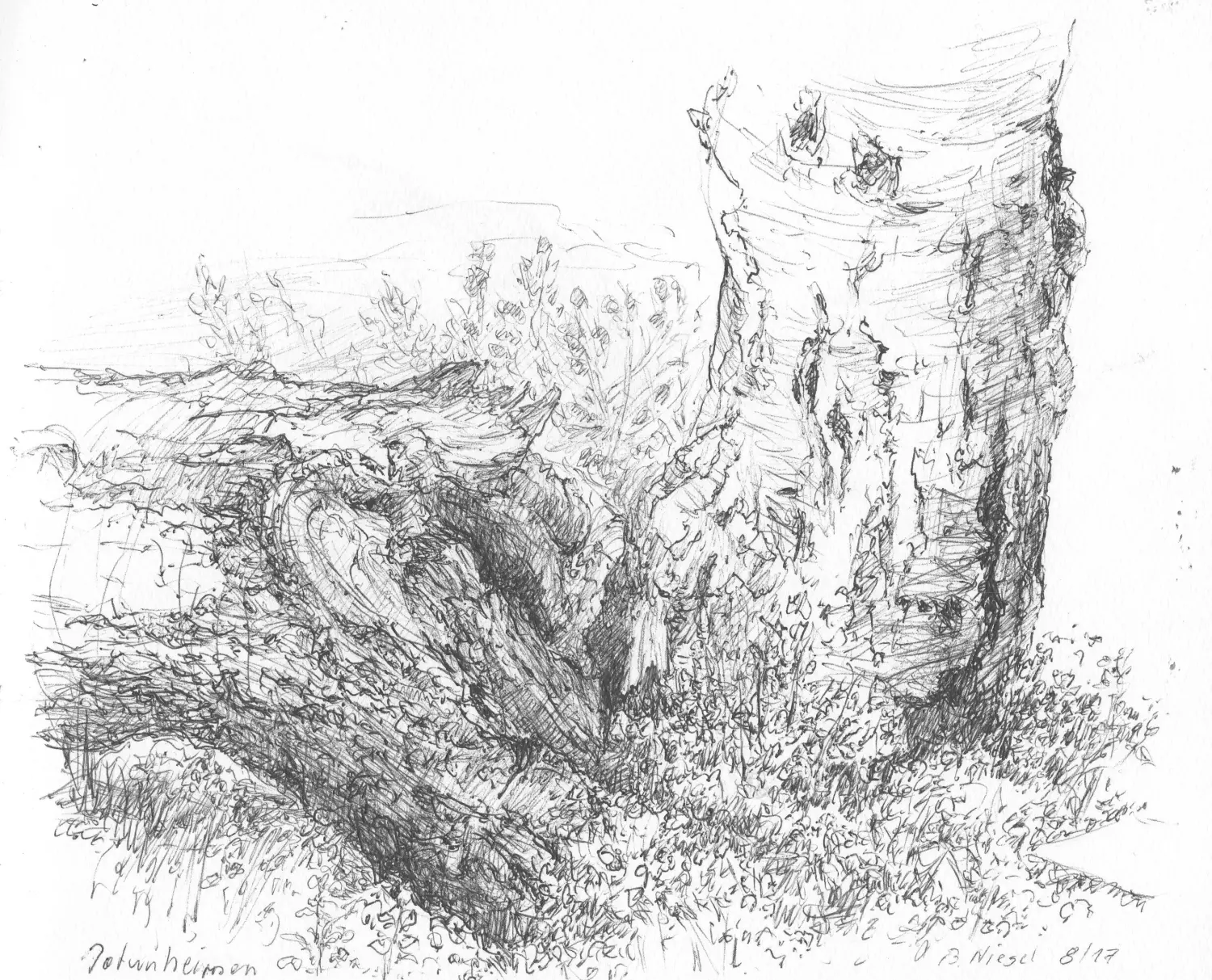  ´Joutunheimen, Baumbruch´ (Norwegen)  Kugelschreiber