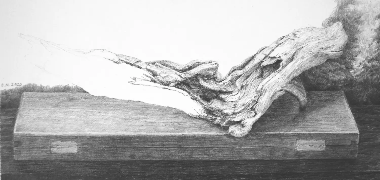 ´Fundstück´ (Lermoos) Buntstiftzeichnung