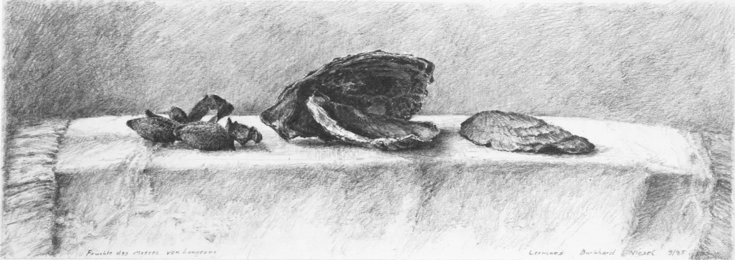 ´Muscheln´(Langeoog) Bleistiftzeichnung