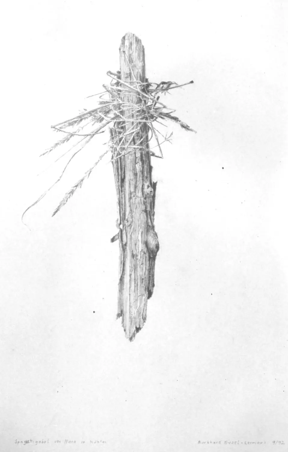 ´Wiesenkreuz´  (Lermoos) Bleistiftzeichnung