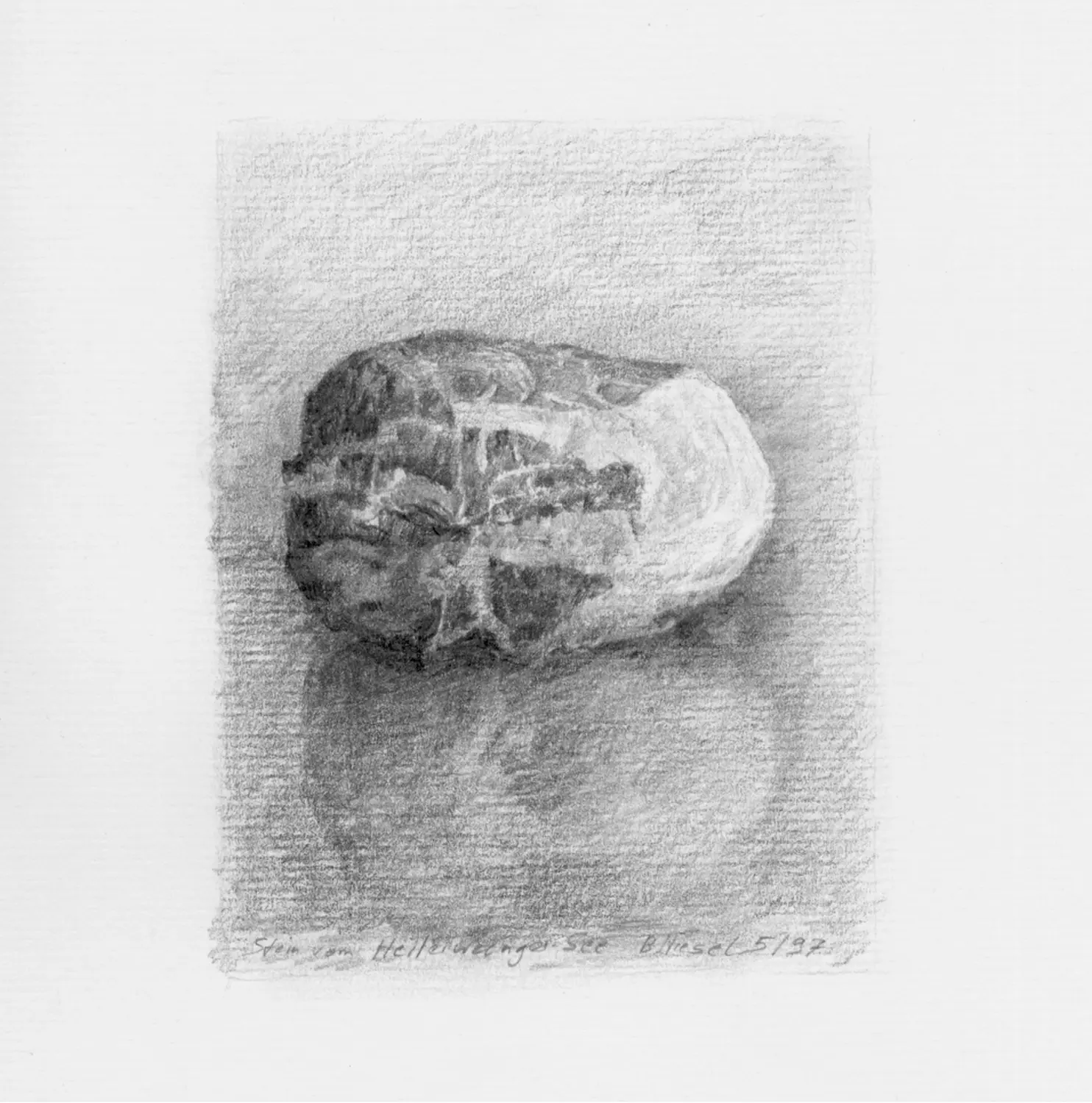 ´Stein + Spiegelung´ (Bernried)   Bleistiftzeichnung
