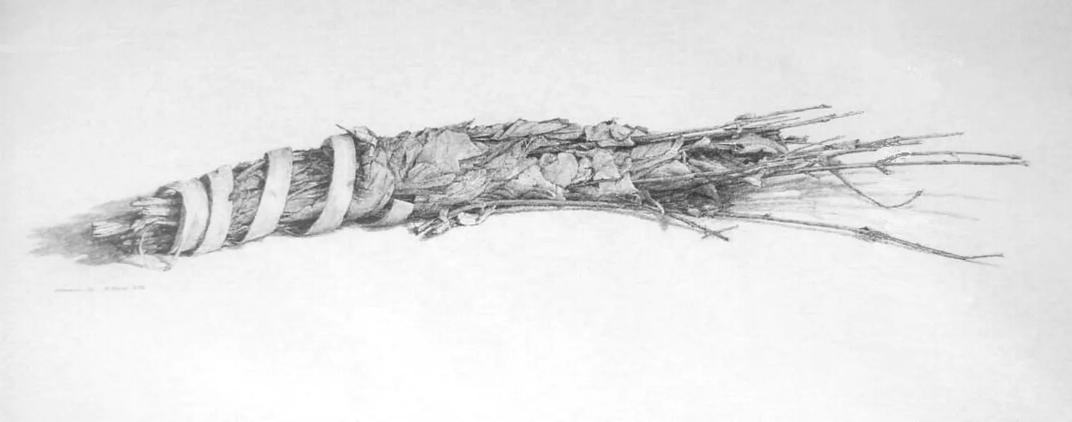 ´Teeblätter aus Senegal´ (Dießen)  Bleistiftzeichnung