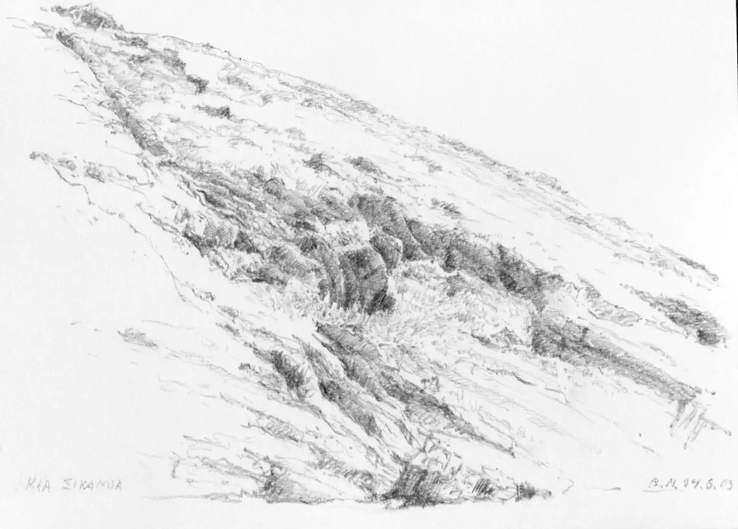 20  ´Sikamia´ (Kea)  Bleistiftzeichnung