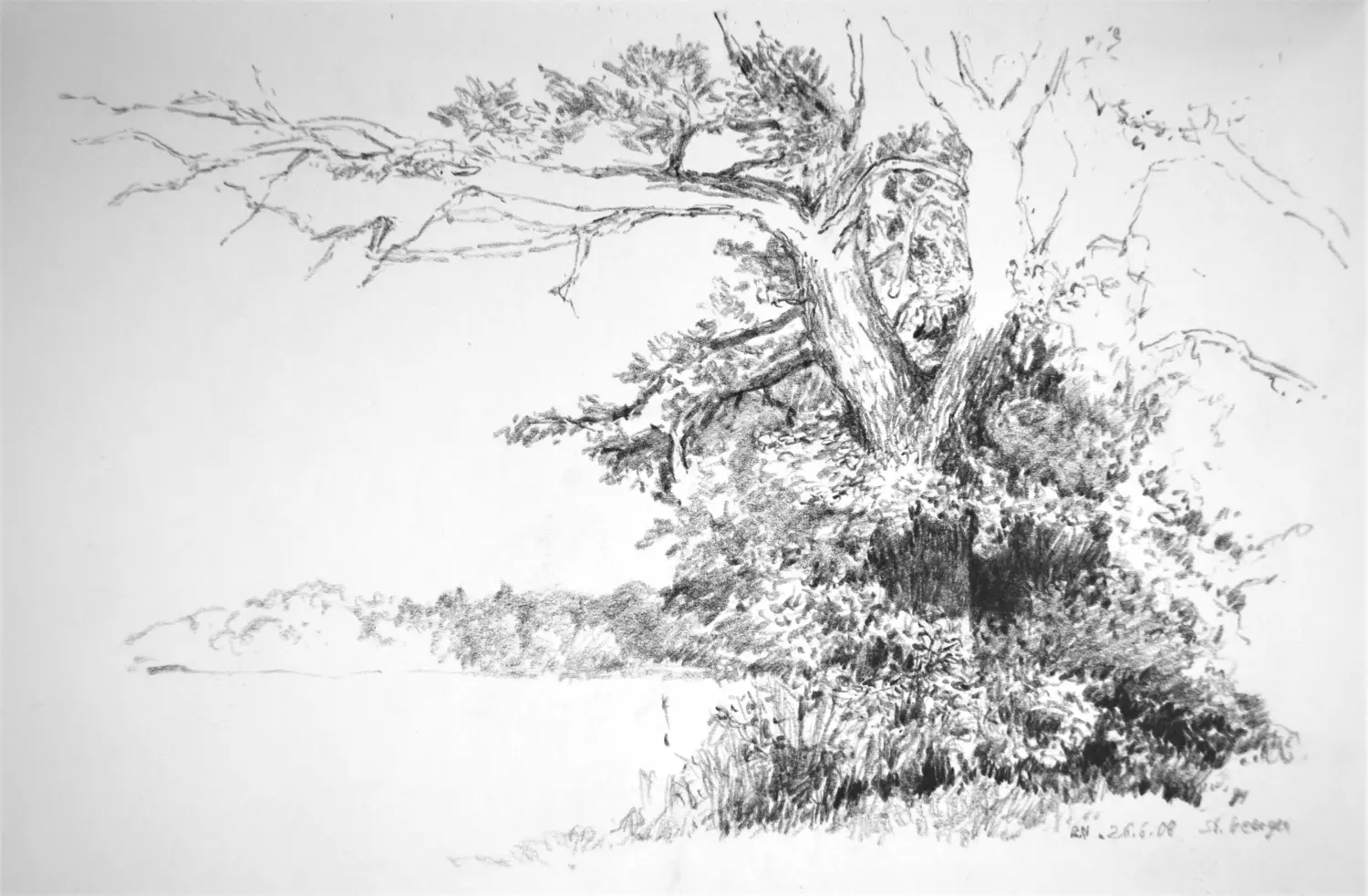 ´Waldrand´ (St.Georgen)  Bleistiftzeichnung