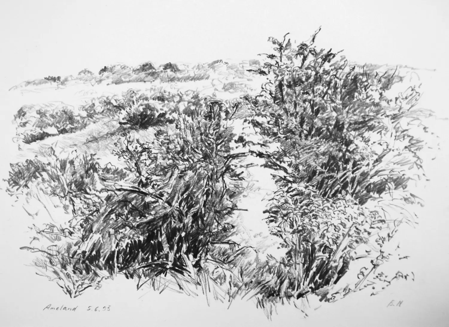 07 ´Büsche´ (Ameland) Bleistiftzeichnung