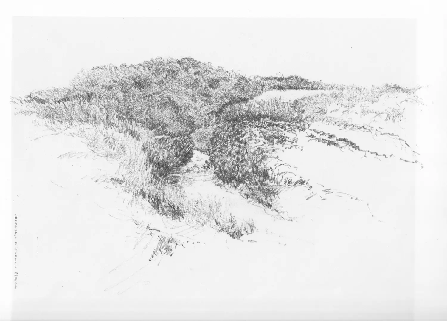 08 ´Düne´ (Langeoog) Bleistiftzeichnung