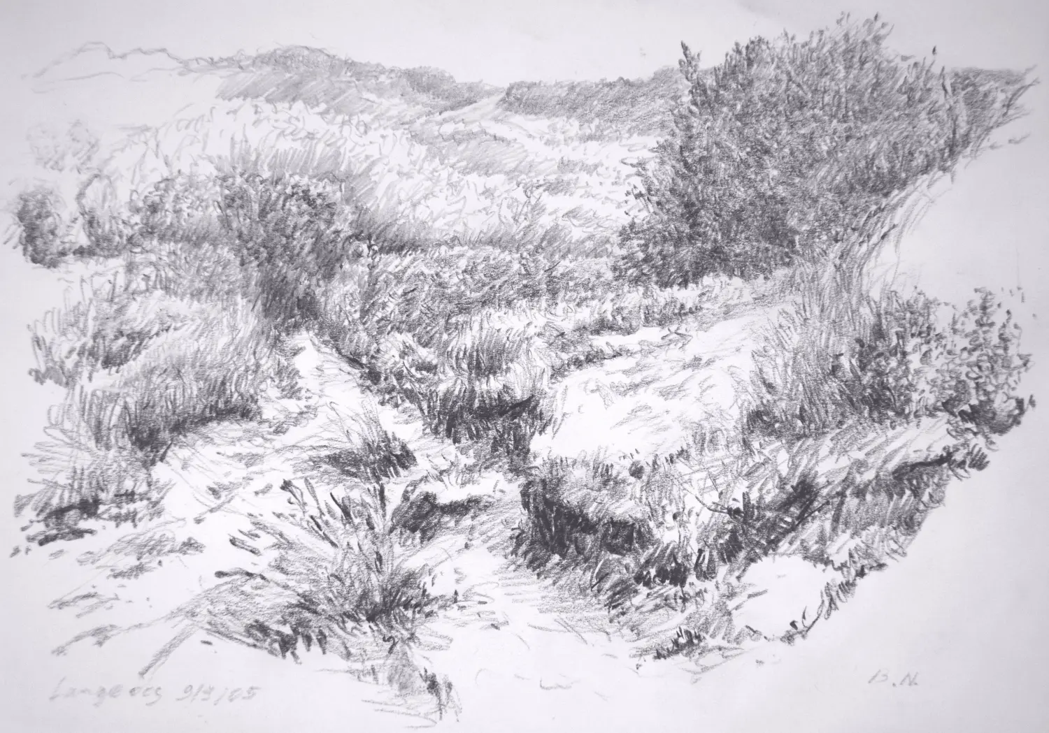 04 ´Dünenweg II´ (Langeoog) Bleistiftzeichnung