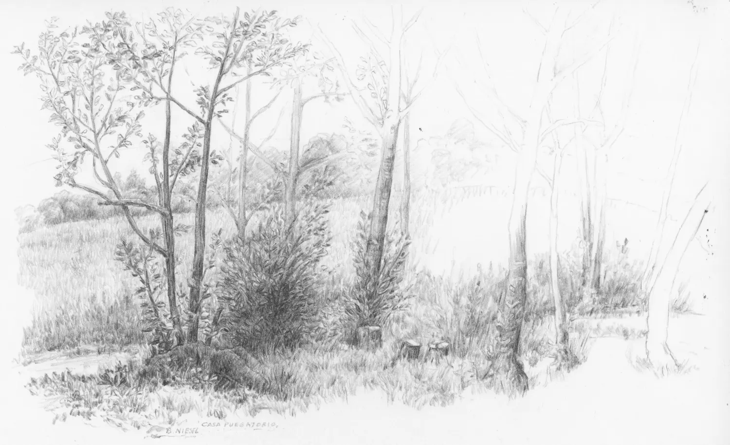 ´Wegrand´  (Casa Purgatorio)  Bleistiftzeichnung  23x17cm