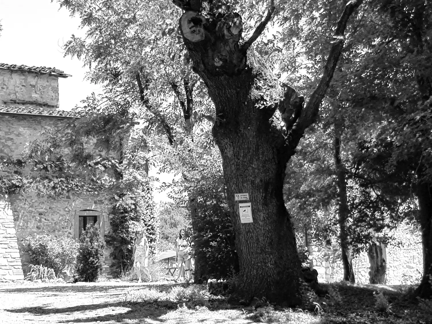 Kursangebot ´Casa Purgatorio´ (Toskana)