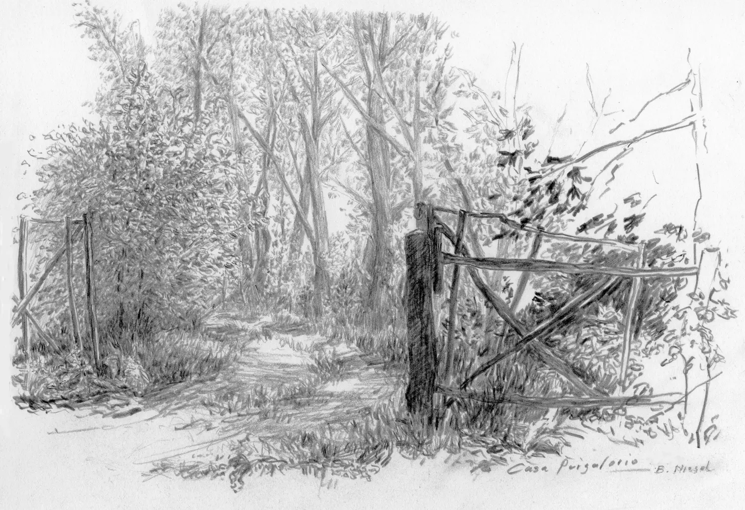 ´Zufahrt zur Casa Purgatorio´ (Toskana)  Bleisiftzeichnung 19 x13cm