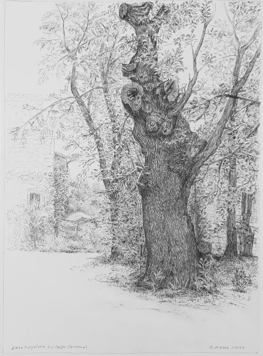 ´Eiche´(Casa Purgatorio) Fettstift 25x34cm